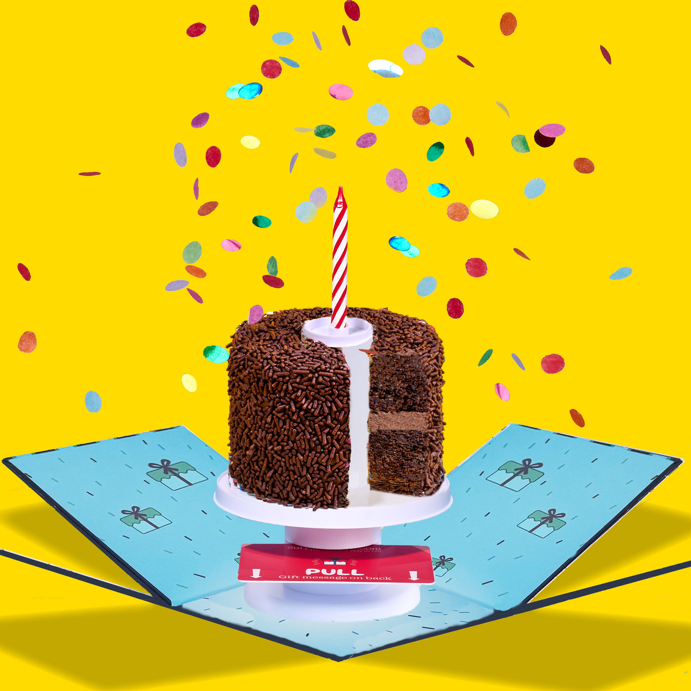 Send a Surprise Cake®