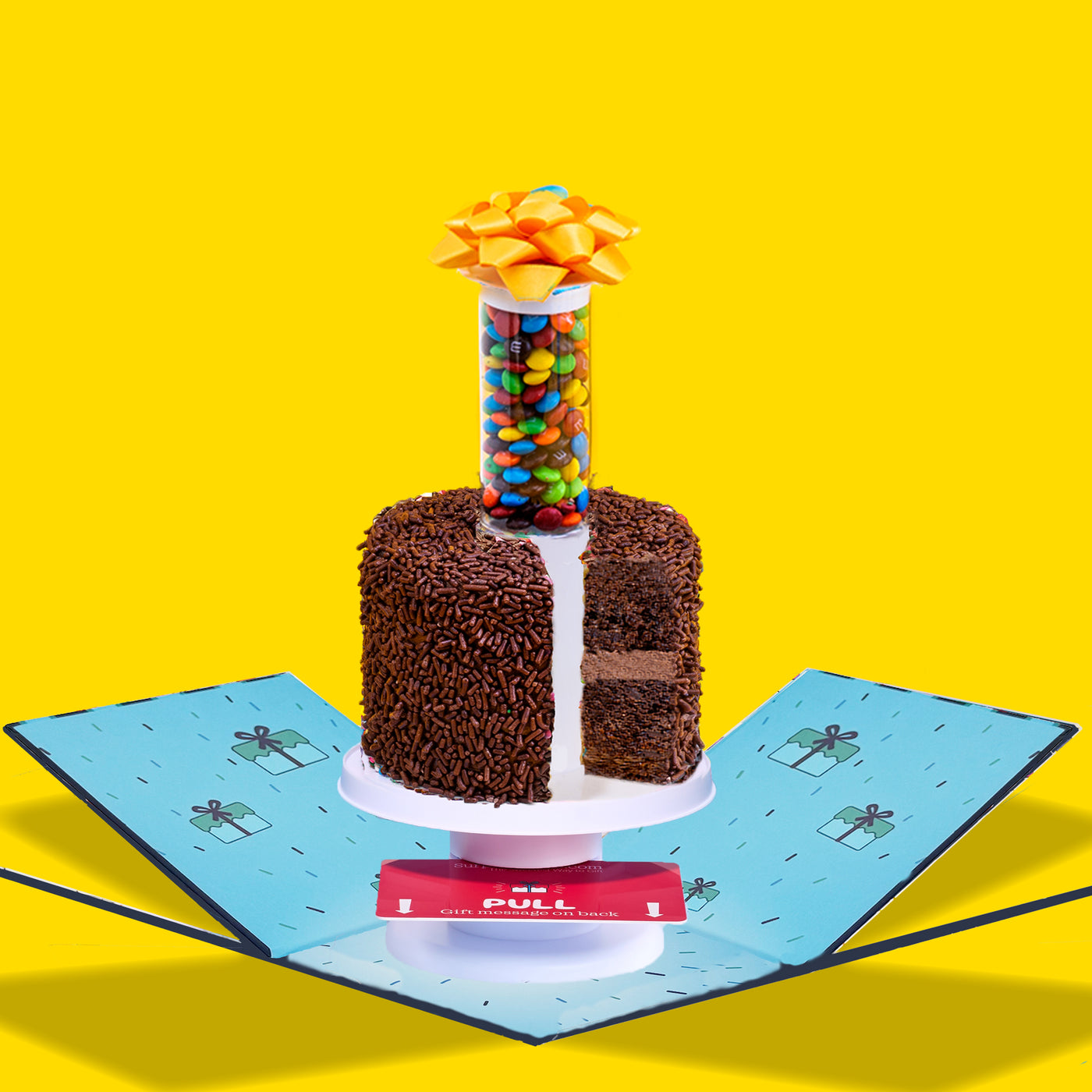 Send a Surprise Cake®