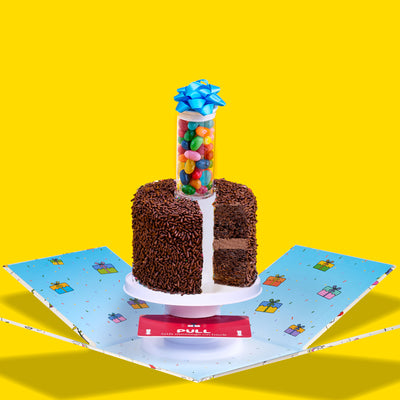 Send a Surprise Cake®