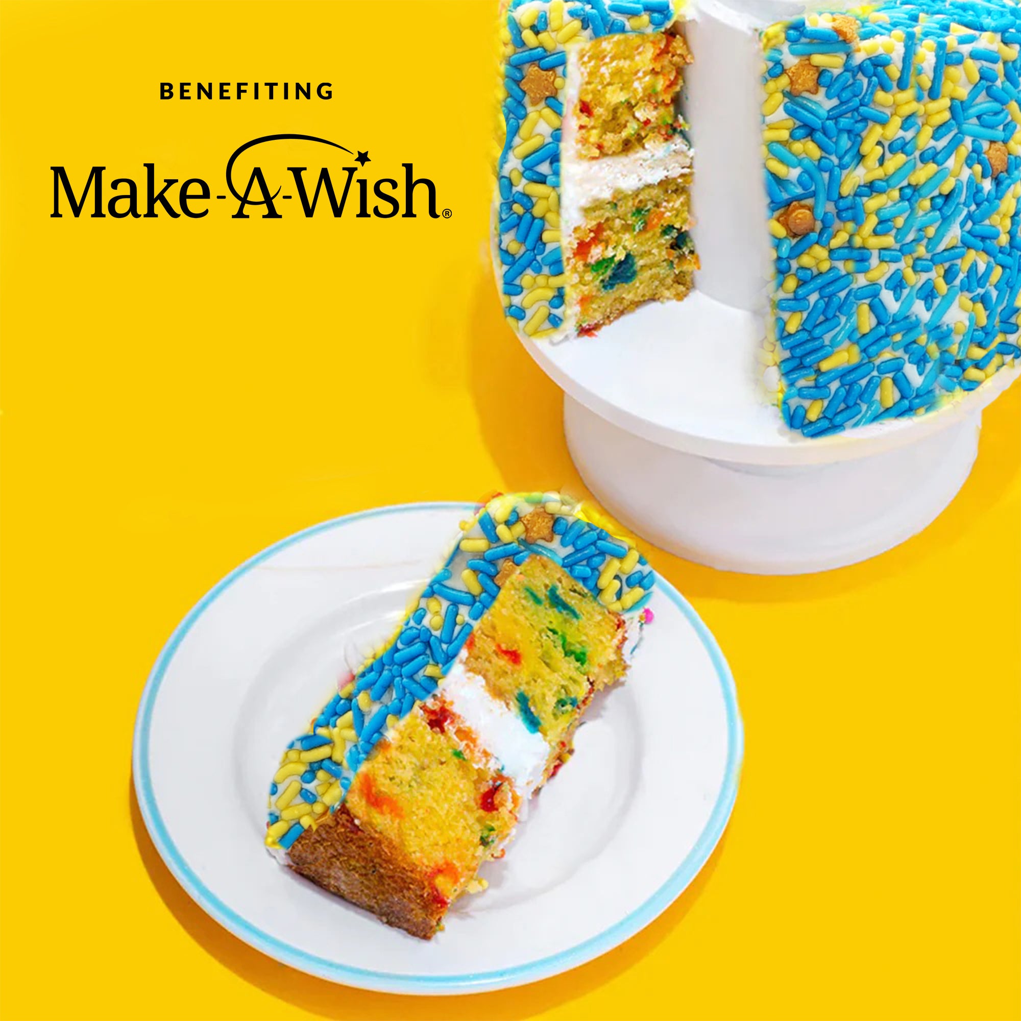 4"- Make-A-Wish®️  Vanilla Surprise Cake ®️