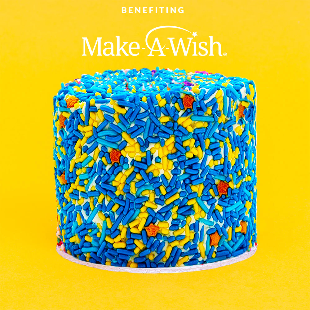 4" Make-A-Wish®️  Vanilla Surprise Cake®️