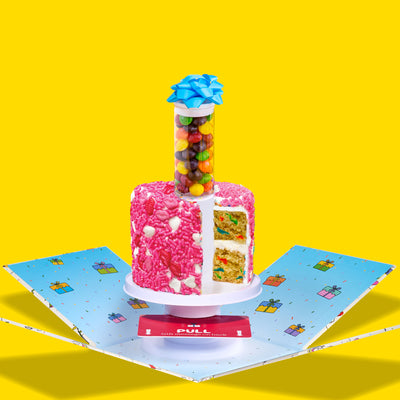 Send a Surprise Cake®