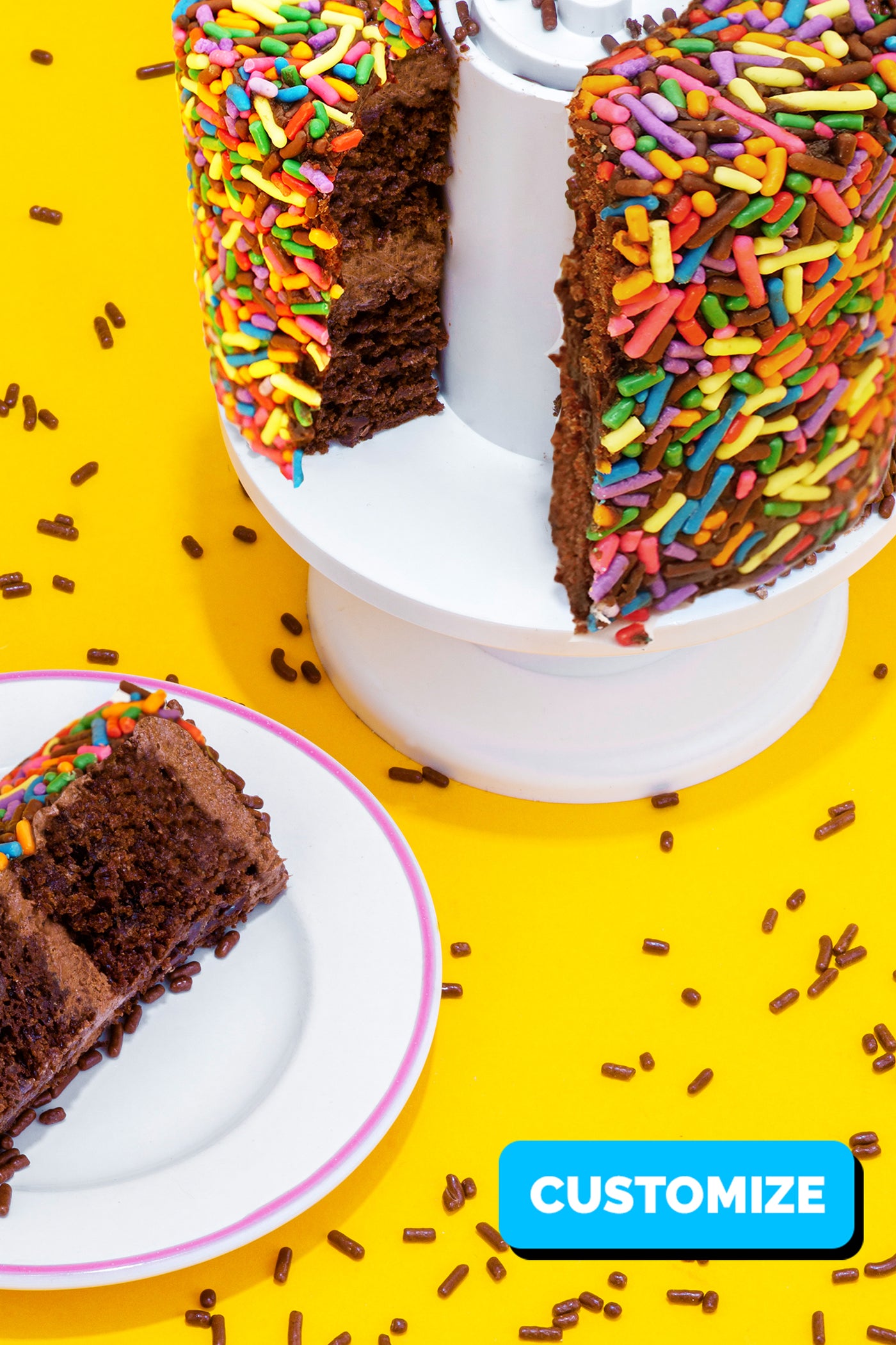 4" Rainbow Chocolate Chocolate Chip Surprise Cake®