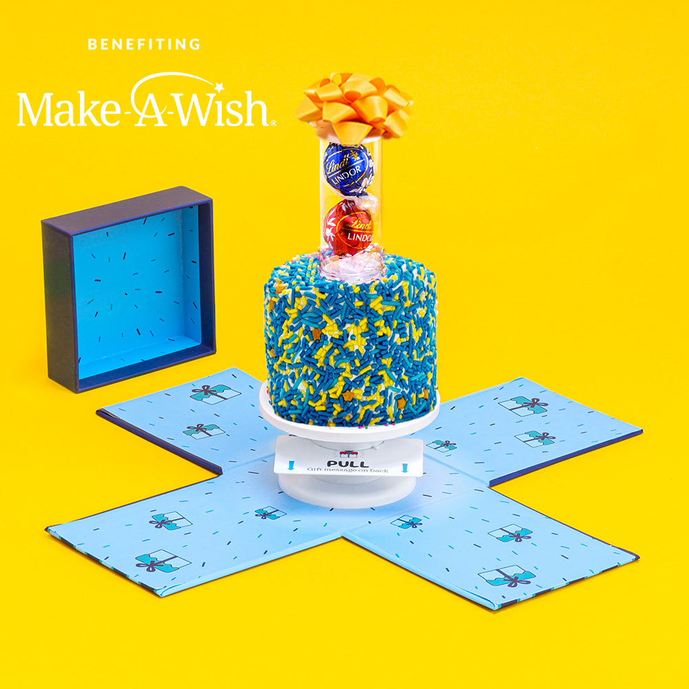 4" Make-A-Wish®️  Vanilla Surprise Cake®️