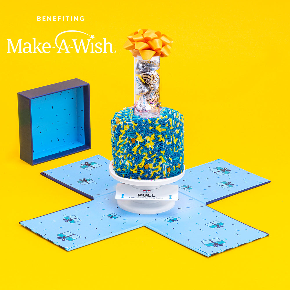 4" Make-A-Wish®️  Vanilla Surprise Cake®️