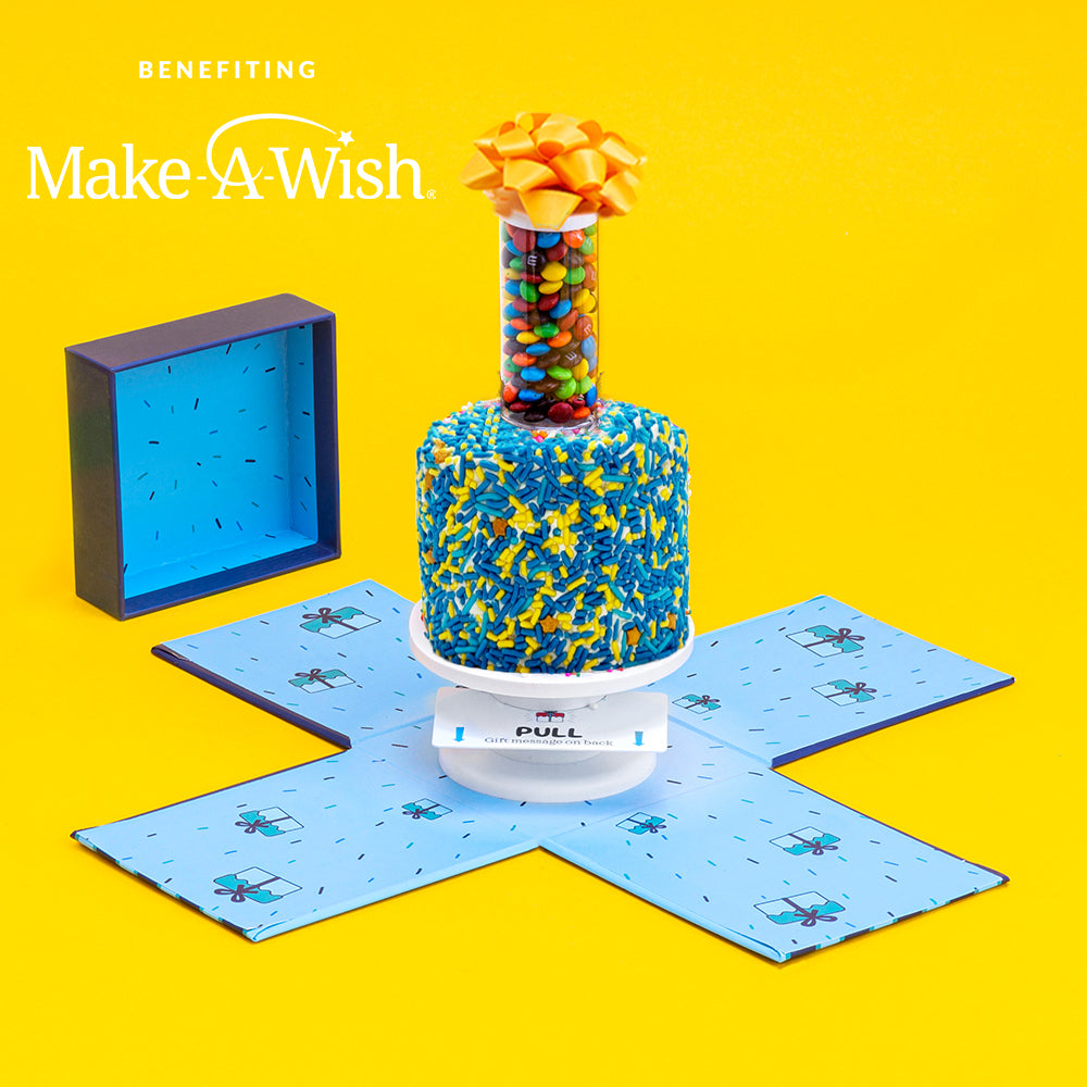 4" Make-A-Wish®️  Vanilla Surprise Cake®️