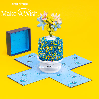 4" Make-A-Wish®️  Vanilla Surprise Cake®️