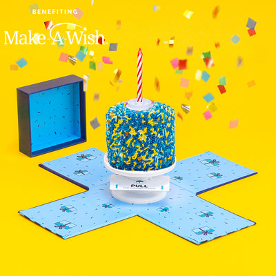 4" Make-A-Wish®️  Vanilla Surprise Cake®️