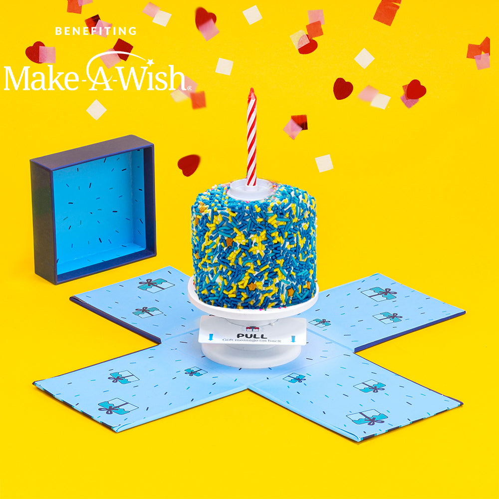 4" Make-A-Wish®️  Vanilla Surprise Cake®️