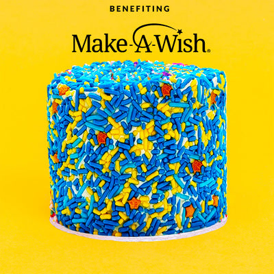 4" Make-A-Wish®️  Vanilla Surprise Cake®️