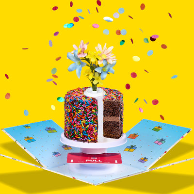 4" Rainbow Chocolate Chocolate Chip Surprise Cake®