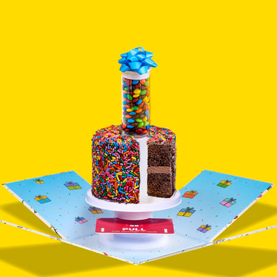 4" Rainbow Chocolate Chocolate Chip Surprise Cake®