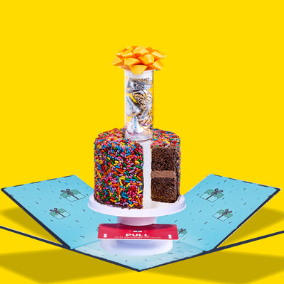 4" Rainbow Chocolate Chocolate Chip Surprise Cake®