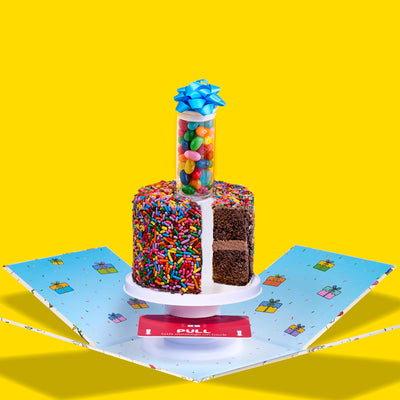 4" Rainbow Chocolate Chocolate Chip Surprise Cake®