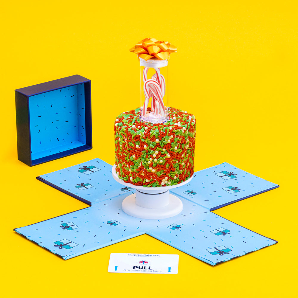 4"- The Christmas Vanilla Surprise Cake®