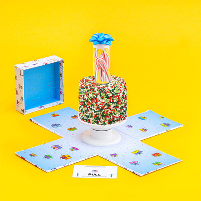 4"- The Christmas Vanilla Surprise Cake®