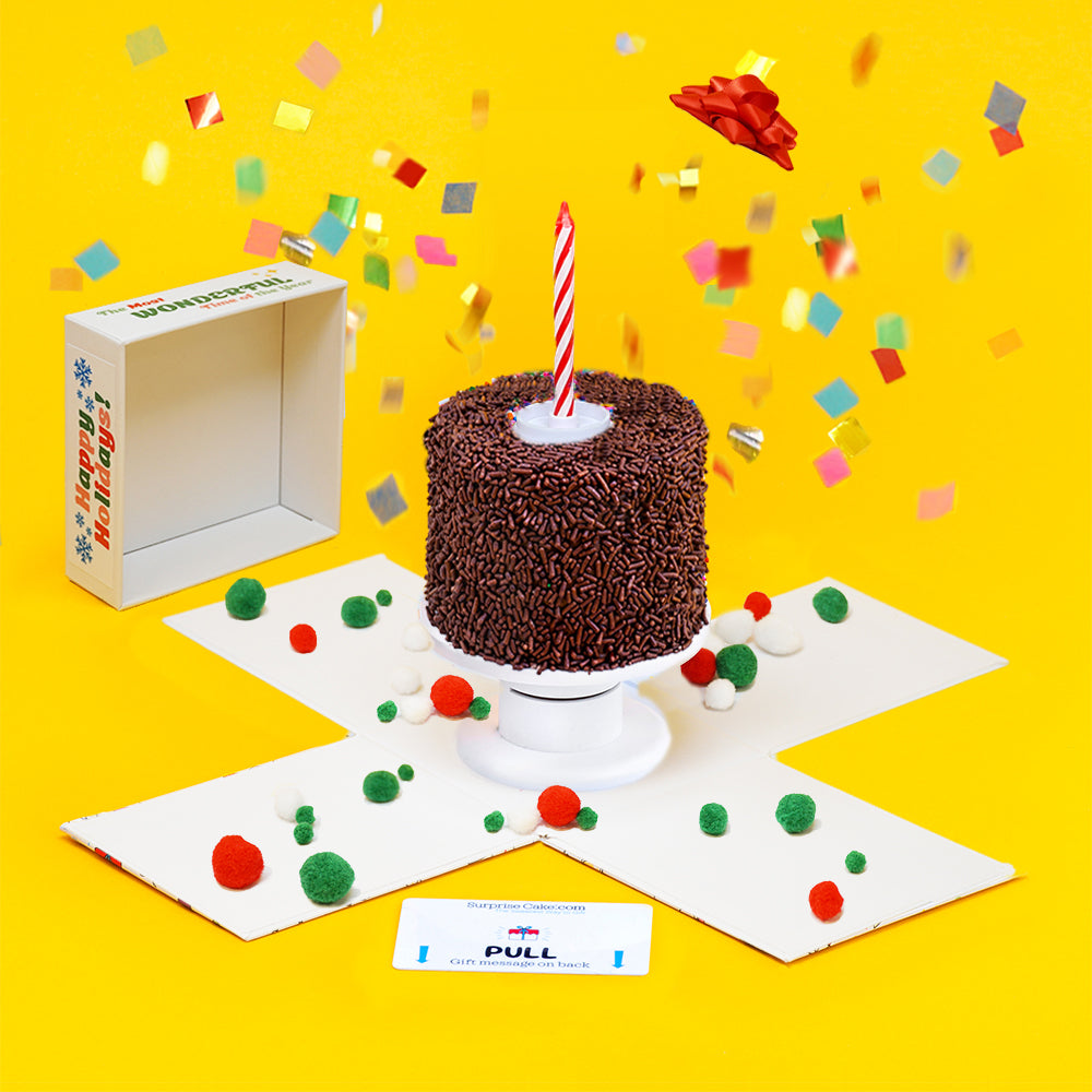 4"- Chocolate Lovers Surprise Cake®