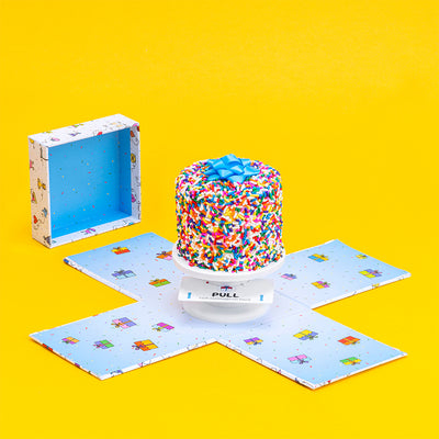 Rainbow Confetti Cake + Confetti Explosion